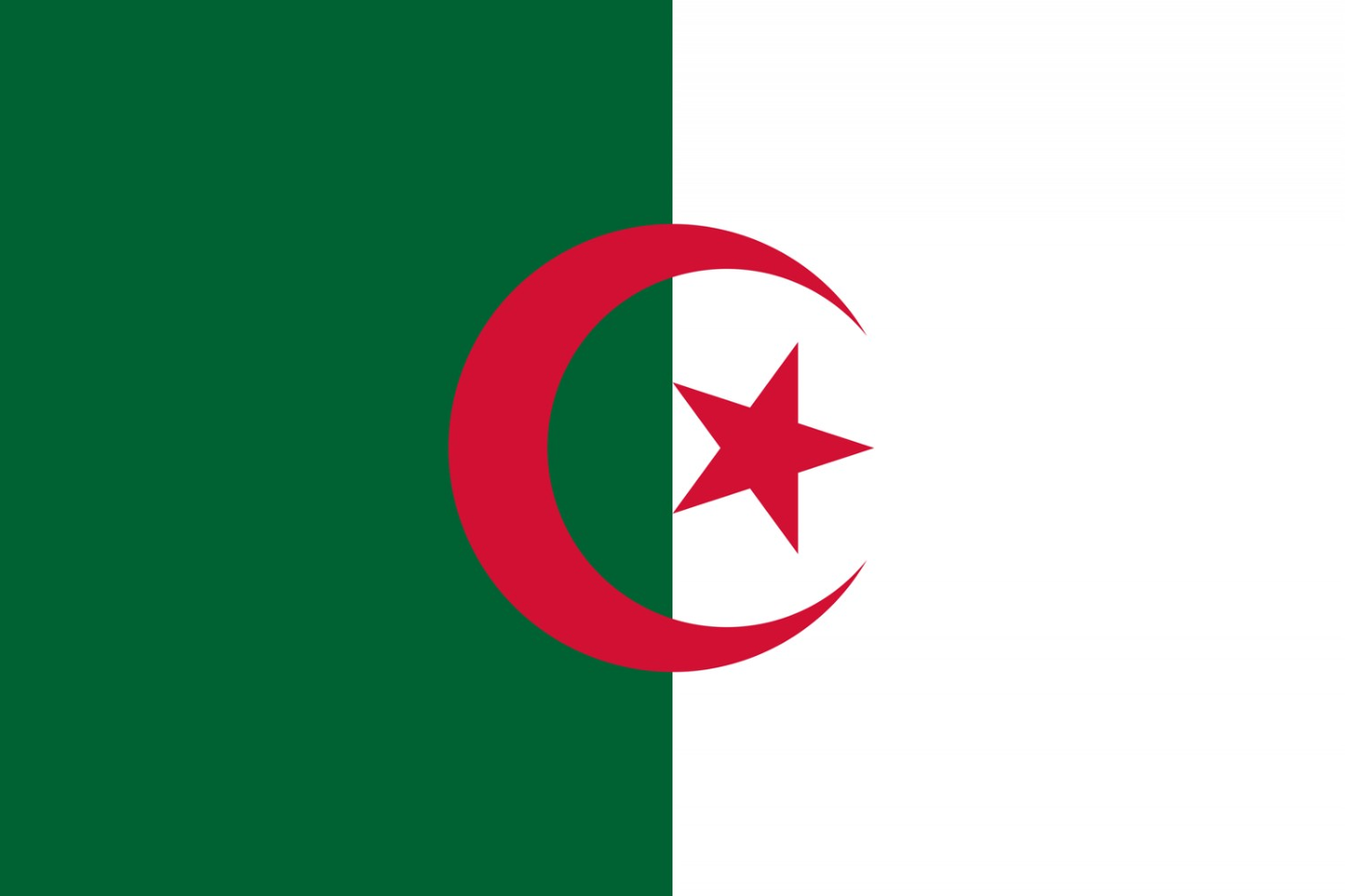 Algeria Flag fridge, souvenier magnet travel keepsake vibrant colors, size small
