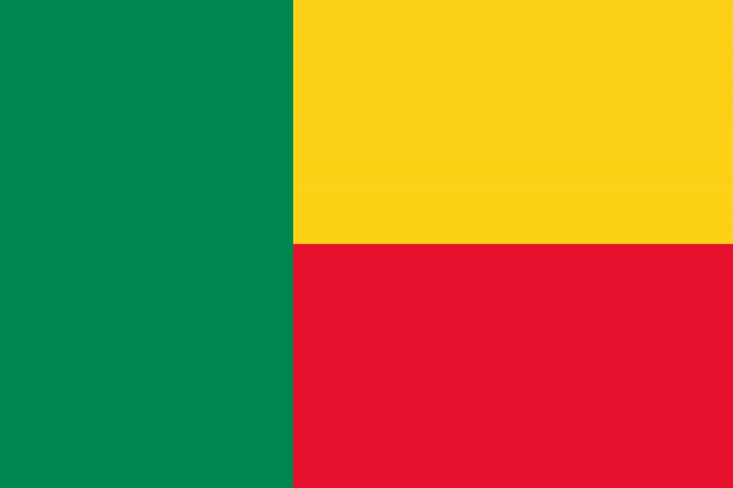 Benin Flag fridge, souvenier magnet travel keepsake vibrant colors choose size: small