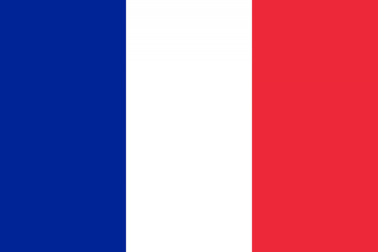 France Flag fridge, souvenier magnet travel keepsake vibrant colors, size: small