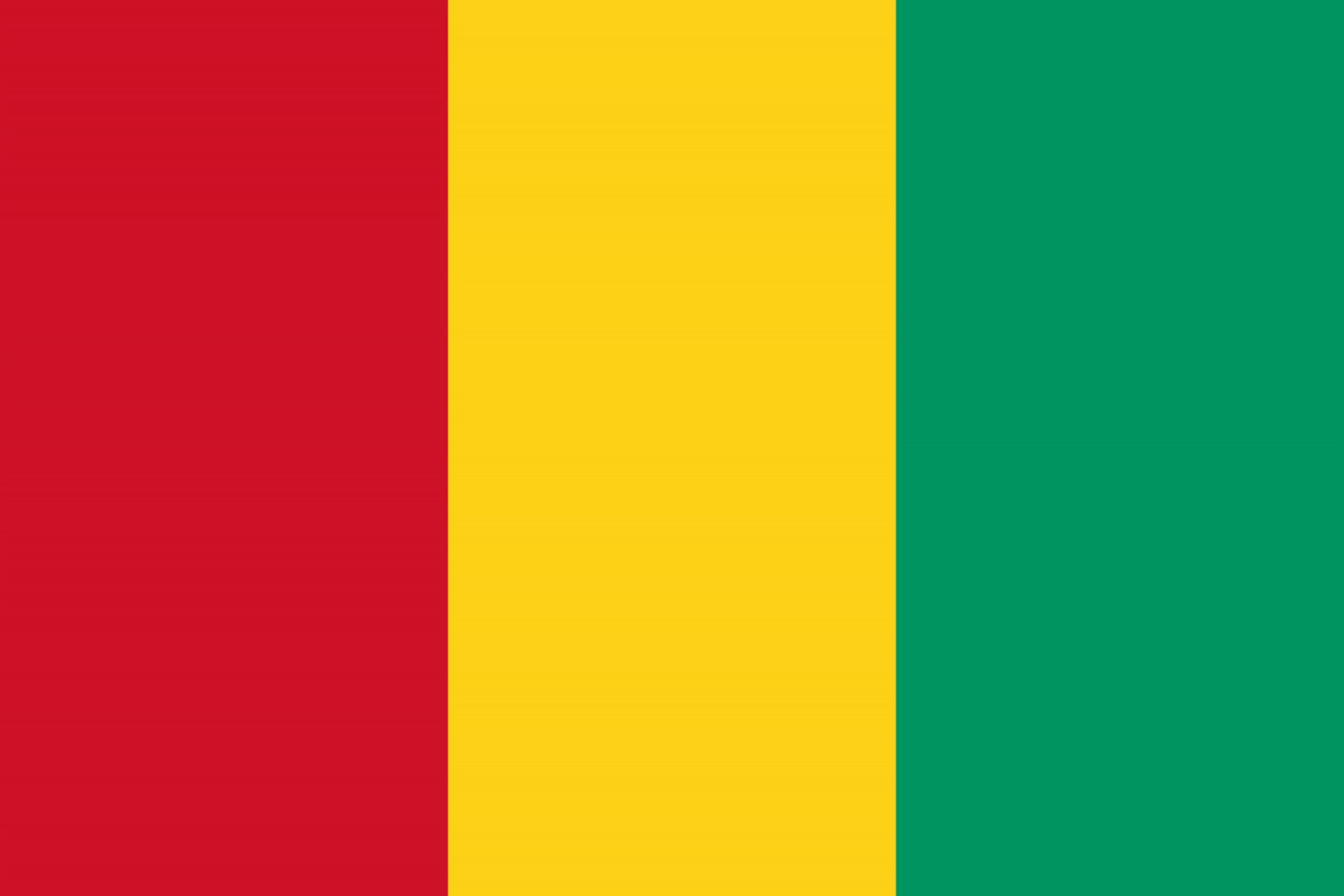 Guinea Flag fridge, souvenier magnet travel keepsake vibrant colors, size: small