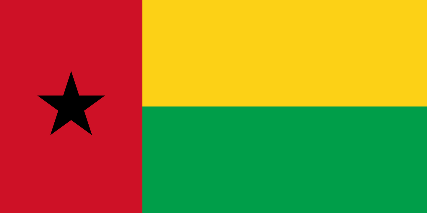 Guinea-Bissau Flag fridge, souvenier magnet travel keepsake vibrant colors, size: small