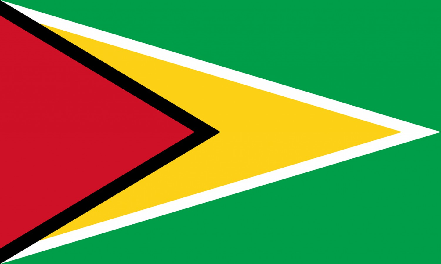 Guyana Flag fridge, souvenier magnet travel keepsake vibrant colors, size: small