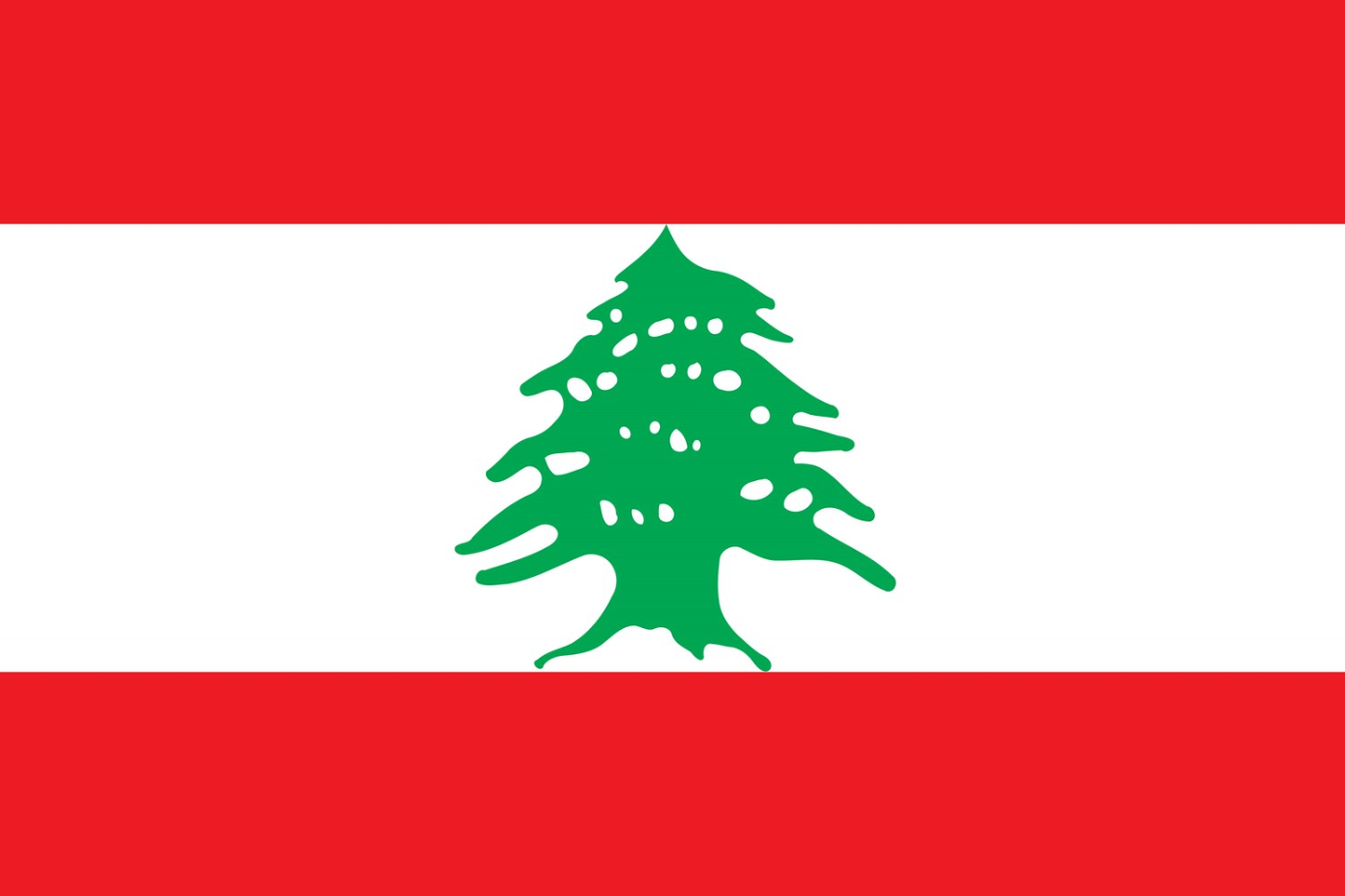 Lebanon Flag fridge, souvenier magnet travel keepsake vibrant colors, size: small