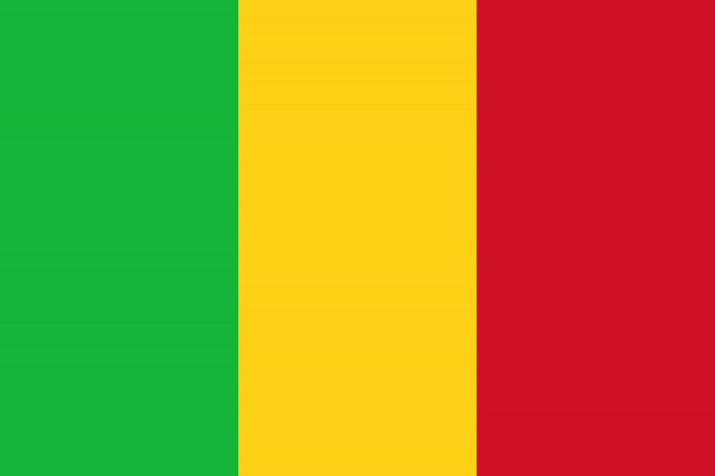 Mali Flag fridge, souvenier magnet travel keepsake vibrant colors, size: small