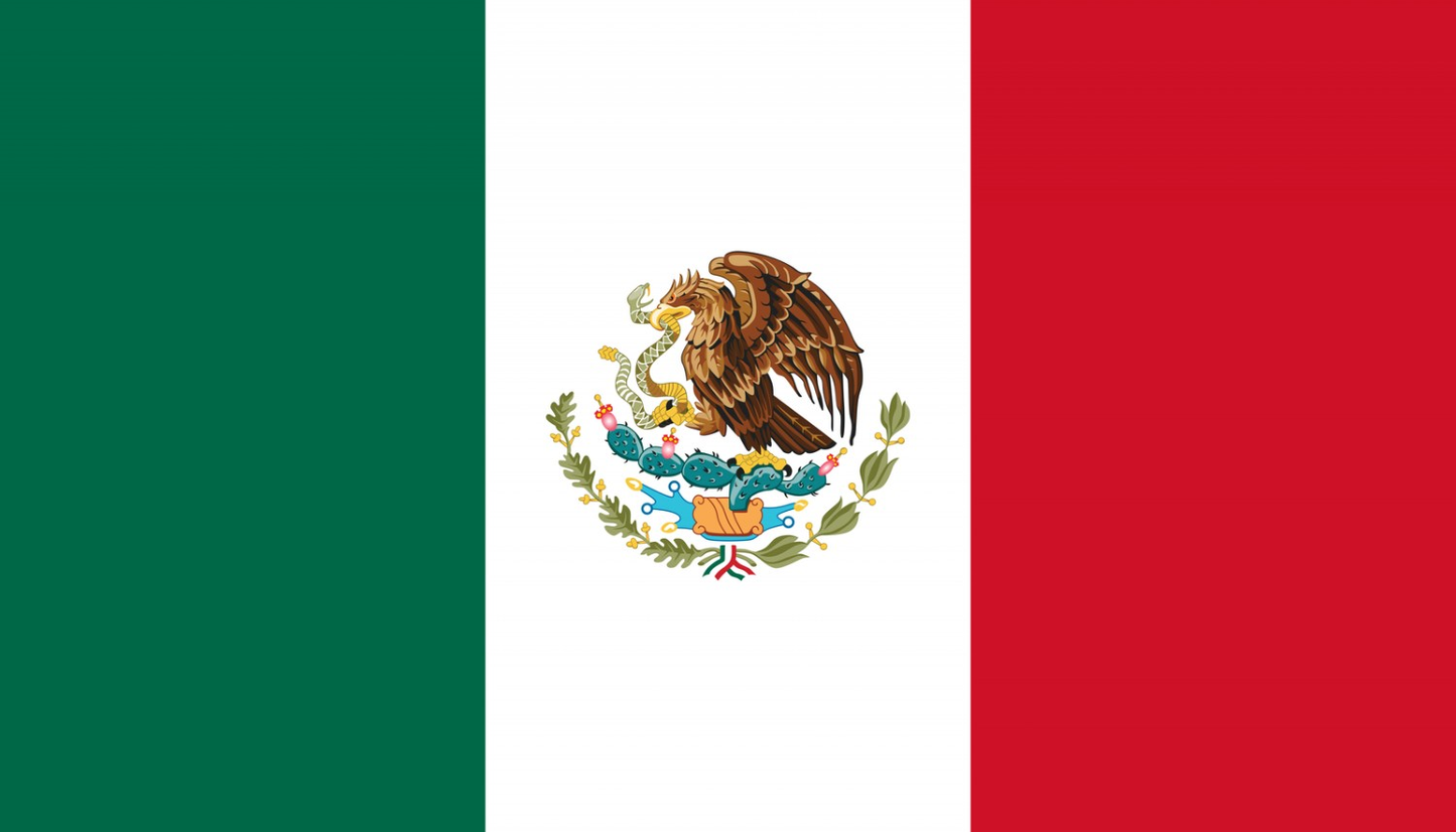 Mexico Flag fridge, souvenier magnet travel keepsake vibrant colors, size: small