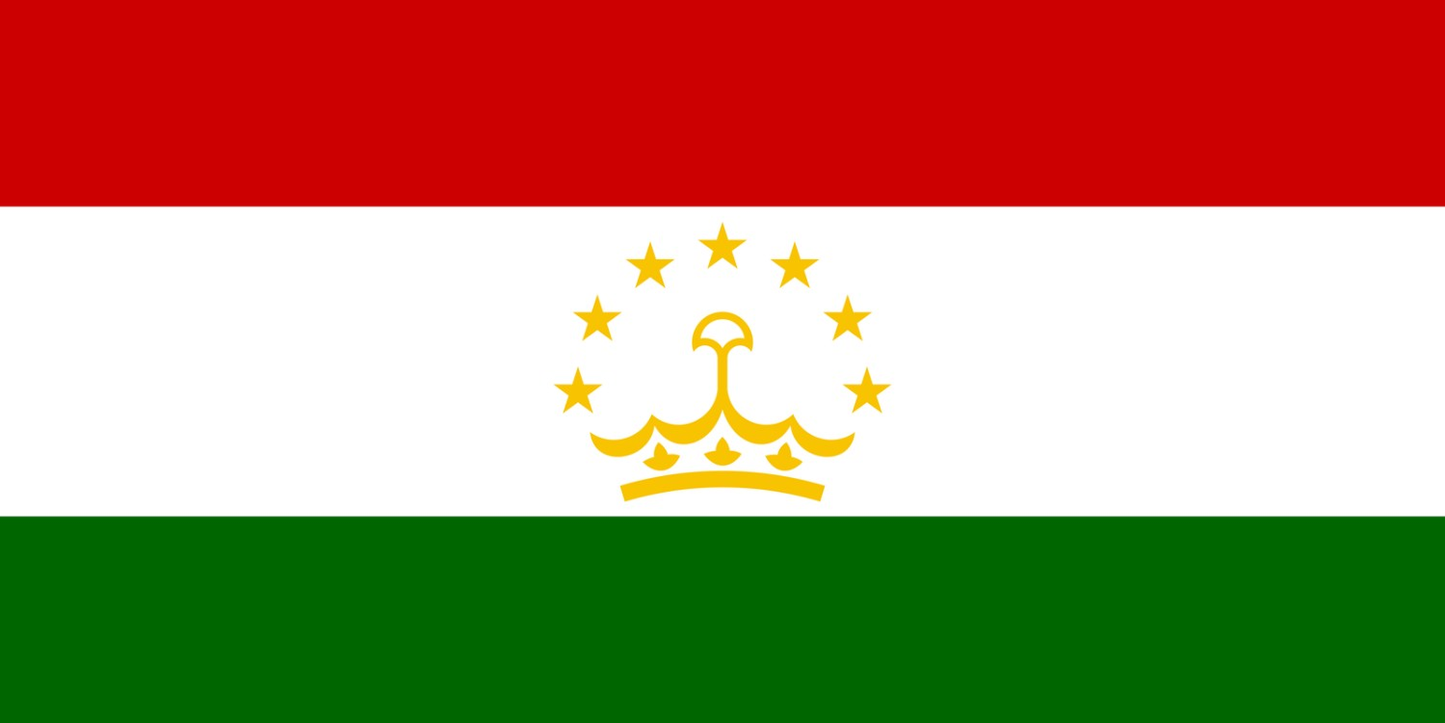 Tajikistan Flag fridge, souvenier magnet travel keepsake vibrant colors, size: small