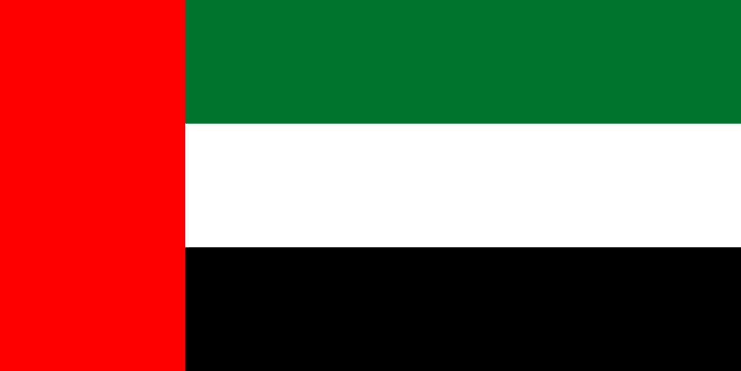 United Arab Emirates Flag fridge, souvenier magnet travel keepsake vibrant colors, size: small