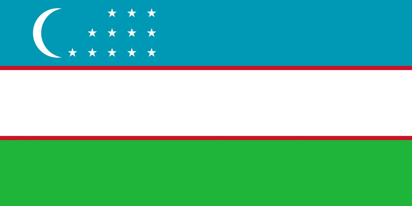Uzbekistan Flag fridge, souvenier magnet travel keepsake vibrant colors, size: small