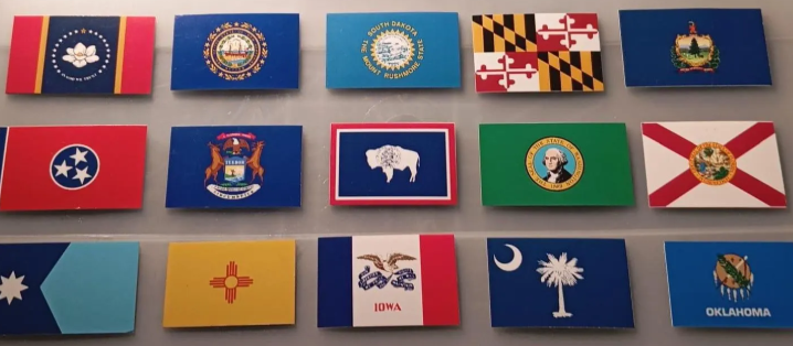 USA States Regional Flagmagnets