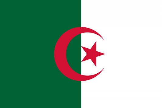 Algeria Flag fridge, souvenier magnet travel keepsake vibrant colors, size small