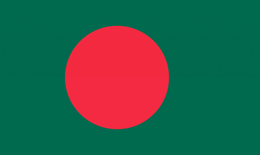 Bangladesh Flag fridge, souvenier magnet travel keepsake vibrant colors, size: small