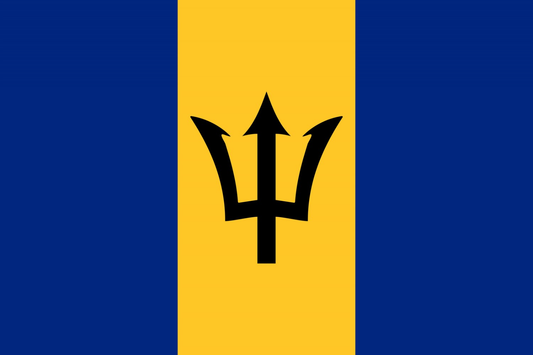 Barbados Flag fridge, souvenier magnet travel keepsake vibrant colors, size: small
