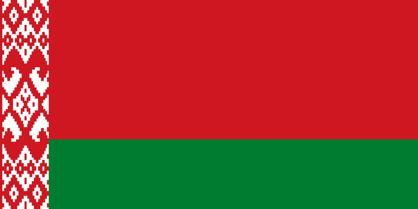 Belarus Flag fridge, souvenier magnet travel keepsake vibrant colors, size small,