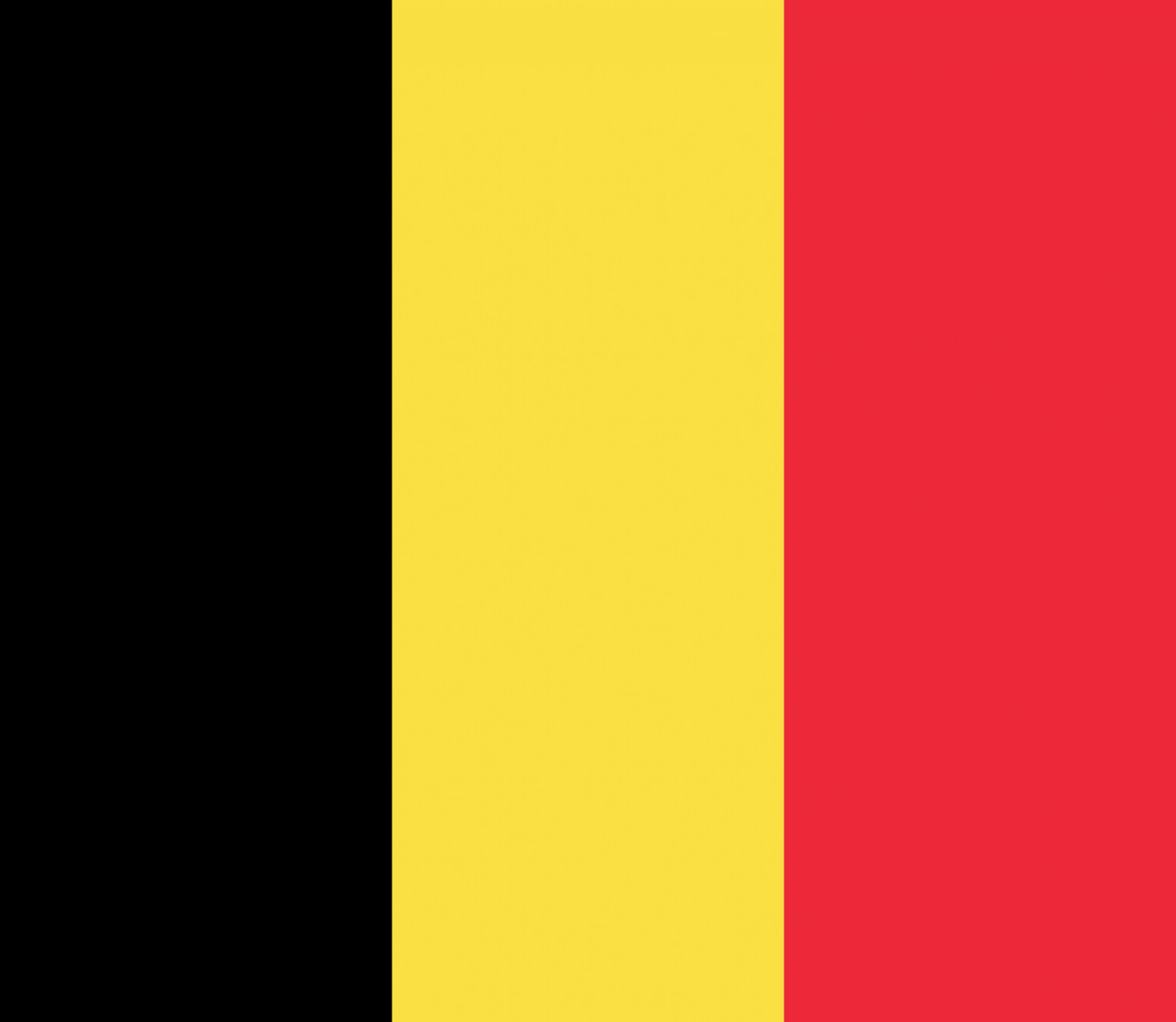 Belgium Flag fridge, souvenier magnet travel keepsake vibrant colors, size: small