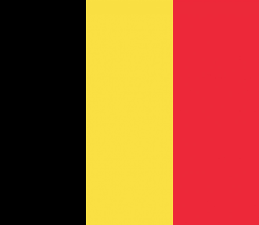 Belgium Flag fridge, souvenier magnet travel keepsake vibrant colors, size: small
