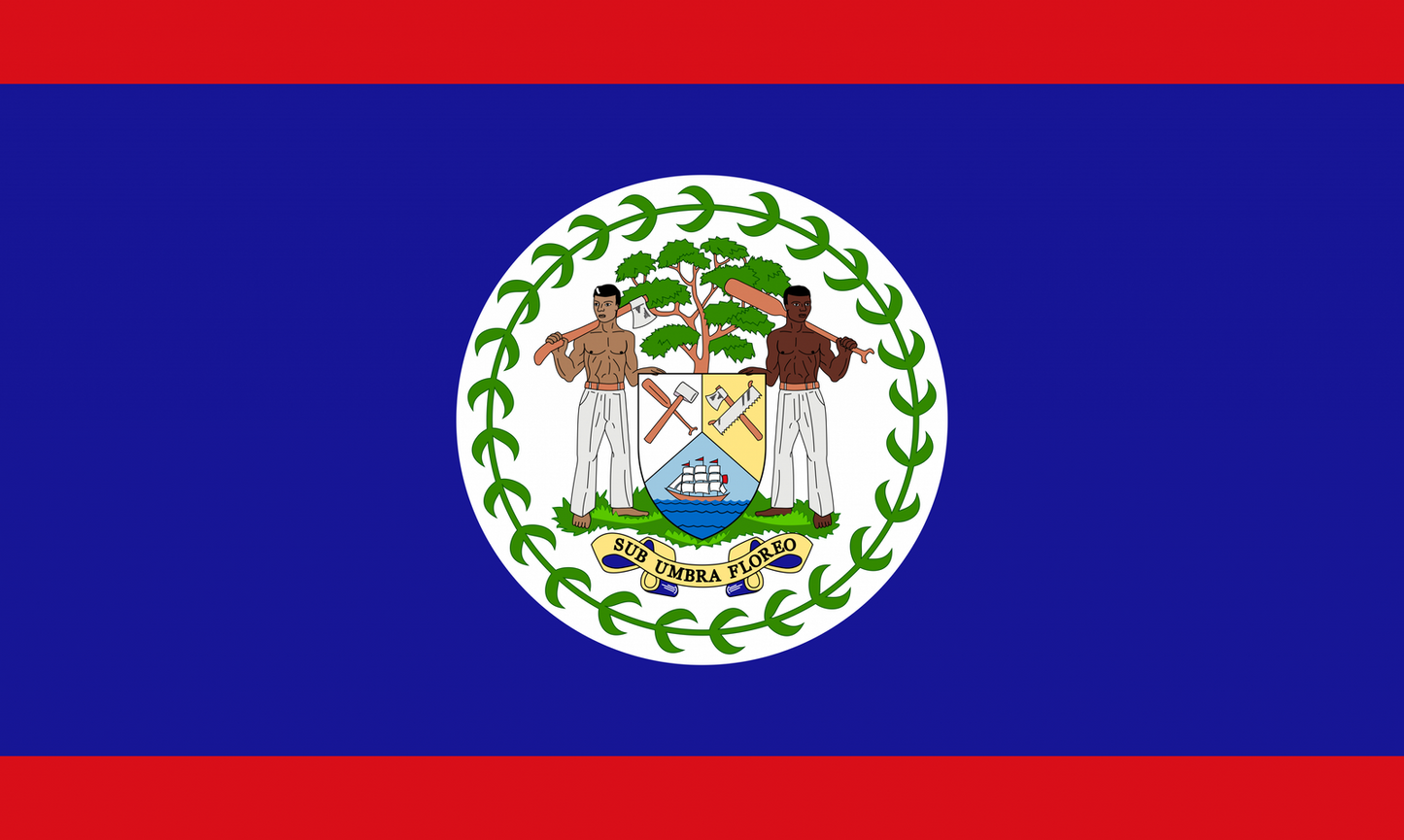 Belize Flag fridge, souvenier magnet travel keepsake vibrant colors, size: small