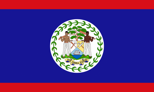 Belize Flag fridge, souvenier magnet travel keepsake vibrant colors, size: small