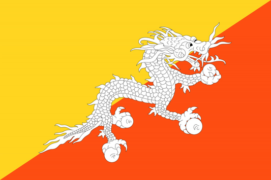 Bhutan Flag fridge, souvenier magnet travel keepsake vibrant colors, size: small