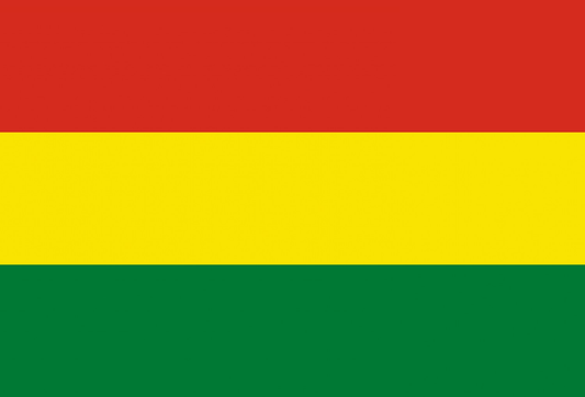 Bolivia Flag fridge, souvenier magnet travel keepsake vibrant colors, size: small