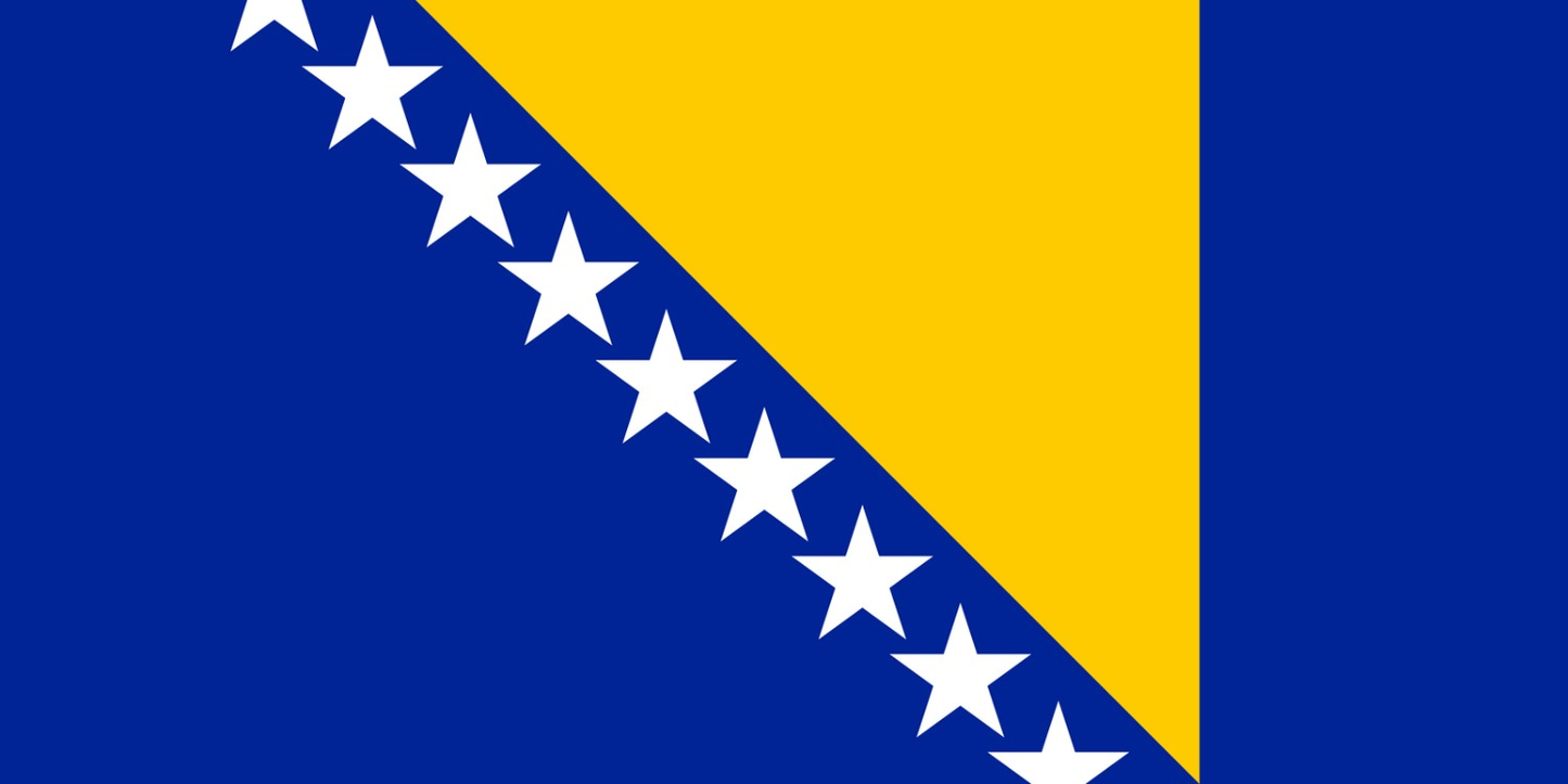 Bosnia and Herzegovina Flag fridge, souvenier magnet travel keepsake vibrant colors, size: small