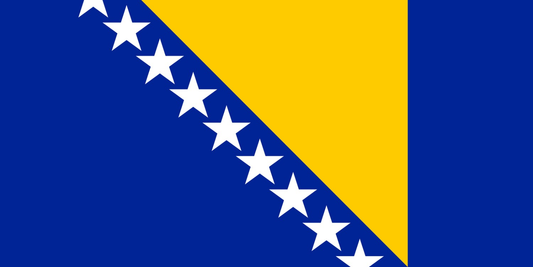 Bosnia and Herzegovina Flag fridge, souvenier magnet travel keepsake vibrant colors, size: small