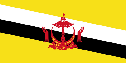 Brunei Flag fridge, souvenier magnet travel keepsake vibrant colors, size: small