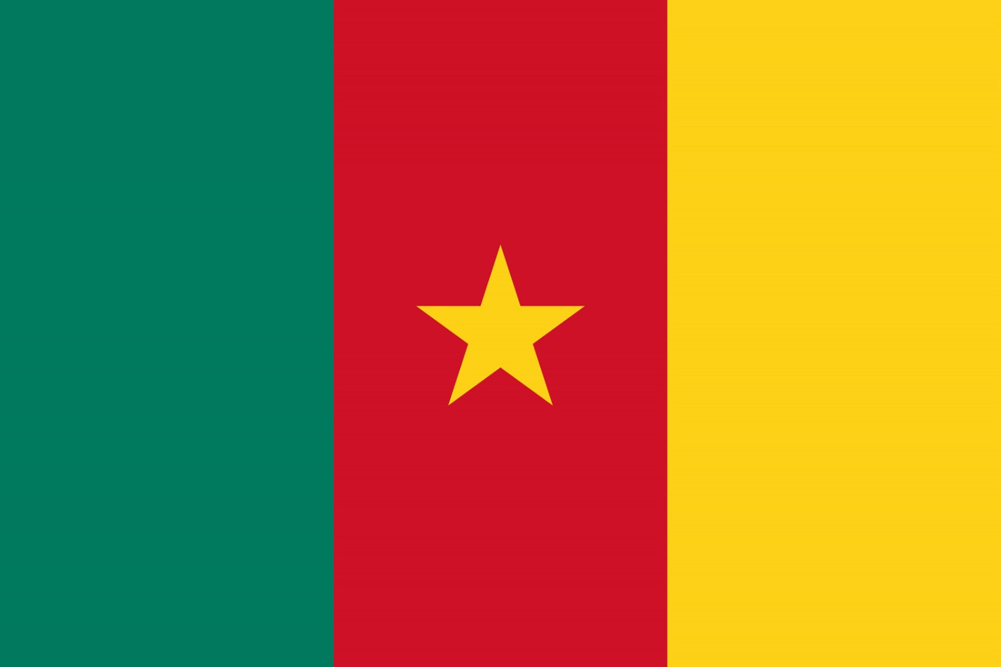 Cameroon Flag fridge, souvenier magnet travel keepsake vibrant colors, size: small