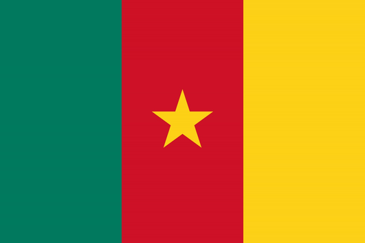 Cameroon Flag fridge, souvenier magnet travel keepsake vibrant colors, size: small
