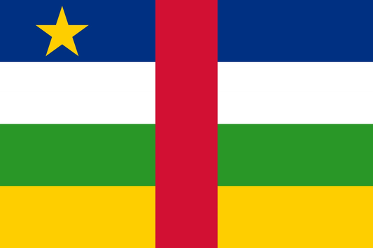 Central African Republic (CAR) Flag fridge, souvenier magnet travel keepsake vibrant colors, size: small