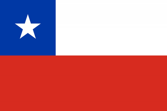 Chile Flag fridge, souvenier magnet travel keepsake vibrant colors, size: small