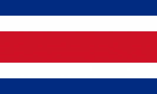 Costa Rica Flag fridge, souvenier magnet travel keepsake vibrant colors, size: small