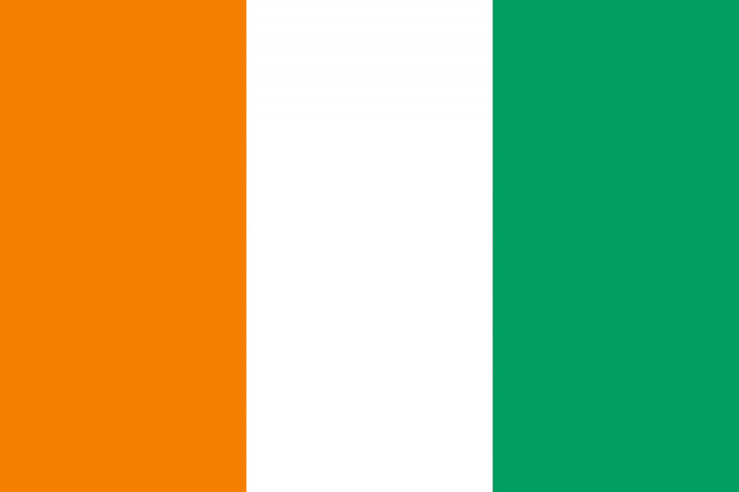 Côte d'Ivoire Flag fridge, souvenier magnet travel keepsake vibrant colors, size: small