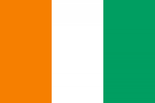 Côte d'Ivoire Flag fridge, souvenier magnet travel keepsake vibrant colors, size: small