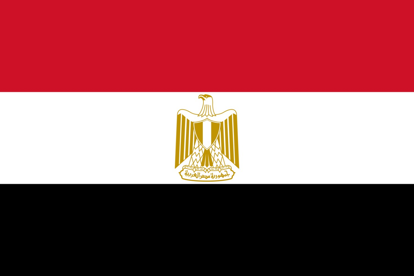 Egypt Flag fridge, souvenier magnet travel keepsake vibrant colors, size: small