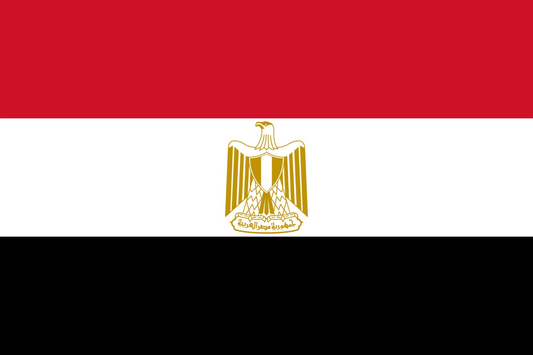 Egypt Flag fridge, souvenier magnet travel keepsake vibrant colors, size: small