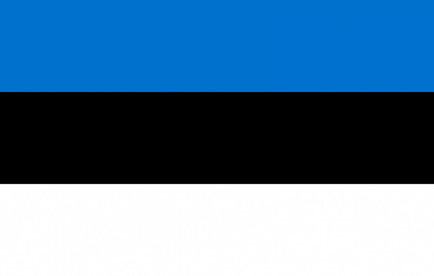 Estonia Flag fridge, souvenier magnet travel keepsake vibrant colors, size: small
