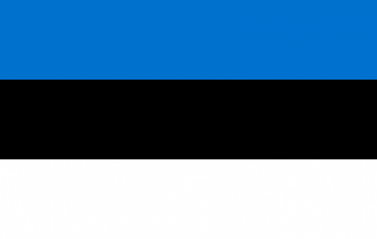 Estonia Flag fridge, souvenier magnet travel keepsake vibrant colors, size: small