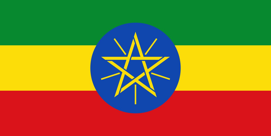 Ethiopia Flag fridge, souvenier magnet travel keepsake vibrant colors, size: small