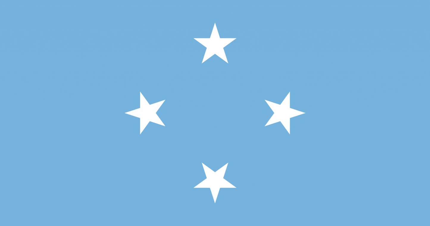 Micronesia Flag fridge, souvenier magnet travel keepsake vibrant colors, size: small