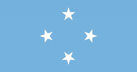 Micronesia Flag fridge, souvenier magnet travel keepsake vibrant colors, size: small