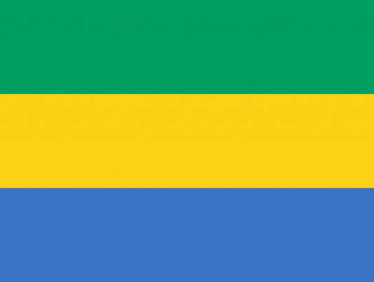 Gabon Flag fridge, souvenier magnet travel keepsake vibrant colors, size: small