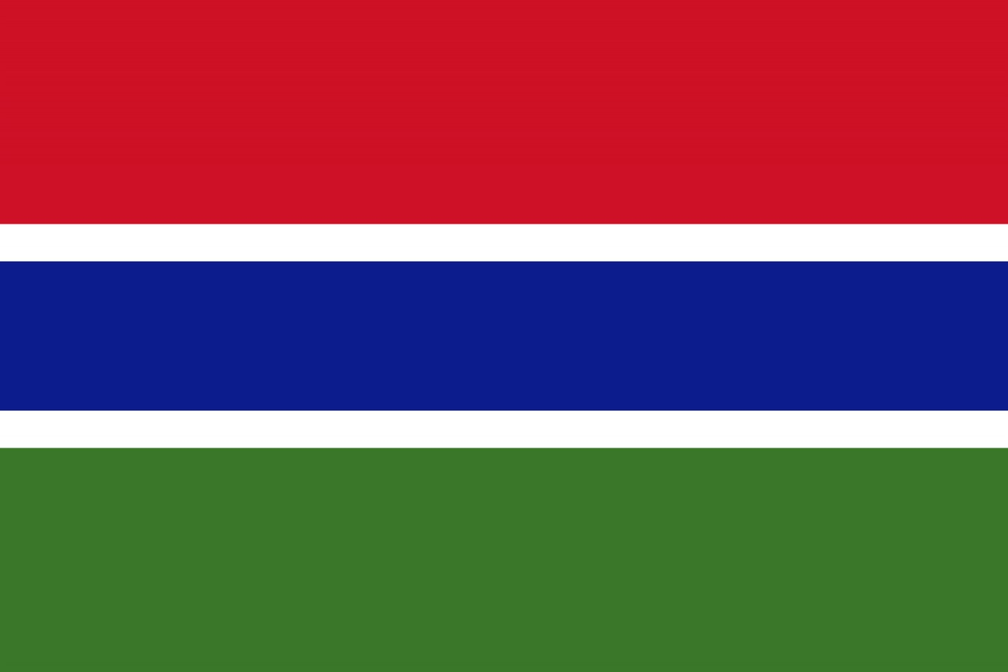 Gambia Flag fridge, souvenier magnet travel keepsake vibrant colors, size: small