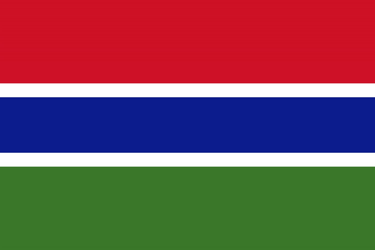 Gambia Flag fridge, souvenier magnet travel keepsake vibrant colors, size: small
