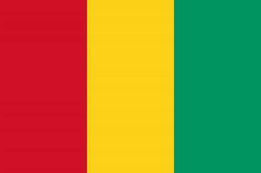 Guinea Flag fridge, souvenier magnet travel keepsake vibrant colors, size: small