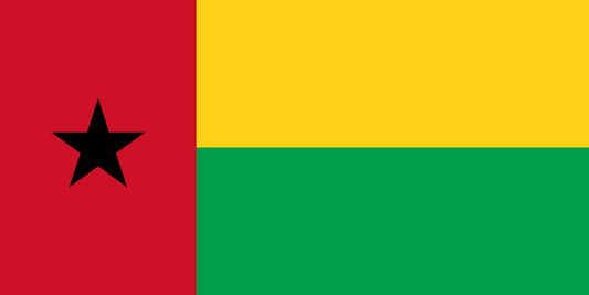 Guinea-Bissau Flag fridge, souvenier magnet travel keepsake vibrant colors, size: small