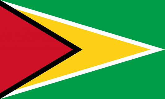 Guyana Flag fridge, souvenier magnet travel keepsake vibrant colors, size: small