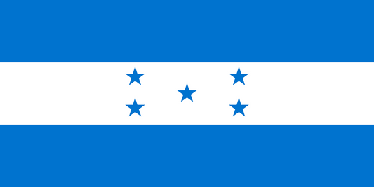Honduras Flag fridge, souvenier magnet travel keepsake vibrant colors, size: small