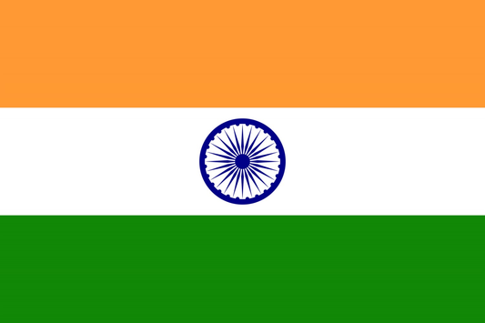 India Flag fridge, souvenier magnet travel keepsake vibrant colors, size: small