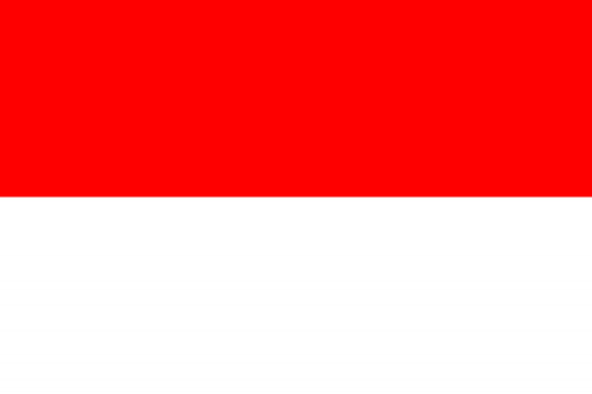 Indonesia Flag fridge, souvenier magnet travel keepsake vibrant colors, size: small