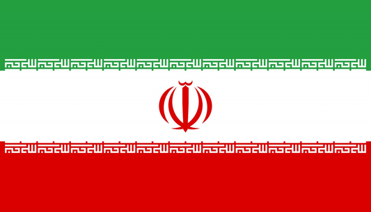 Iran Flag fridge, souvenier magnet travel keepsake vibrant colors, size: small
